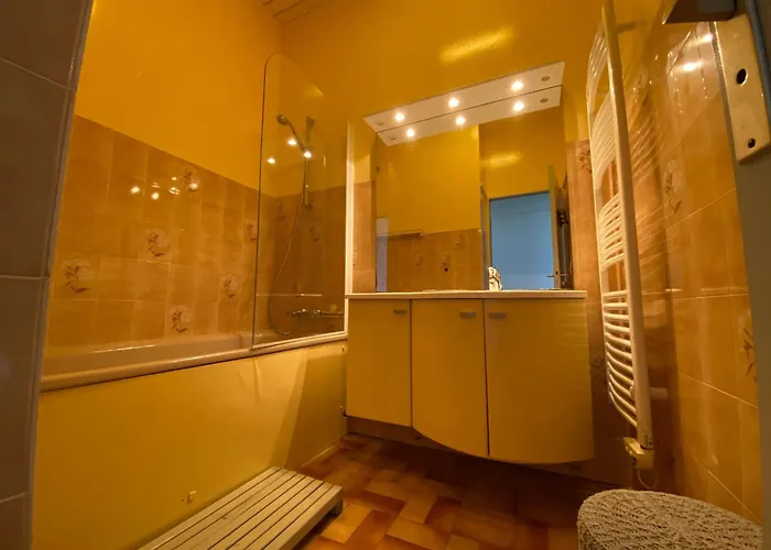 T1 Centre-ville Avec Parking - Fr-1-319-467 *